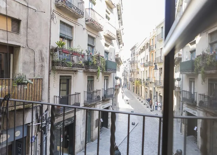 Bravissimo Cort Reial-1b