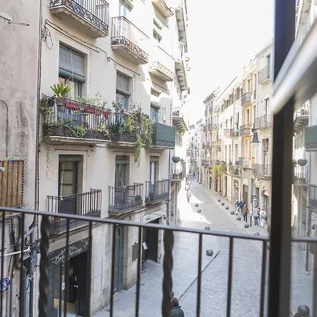 Bravissimo Cort Reial-1b